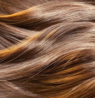 Extensions Rental