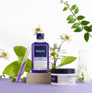 Phyto Purple Mask